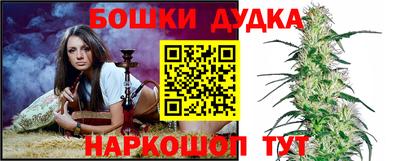 гидропоника Новокубанск