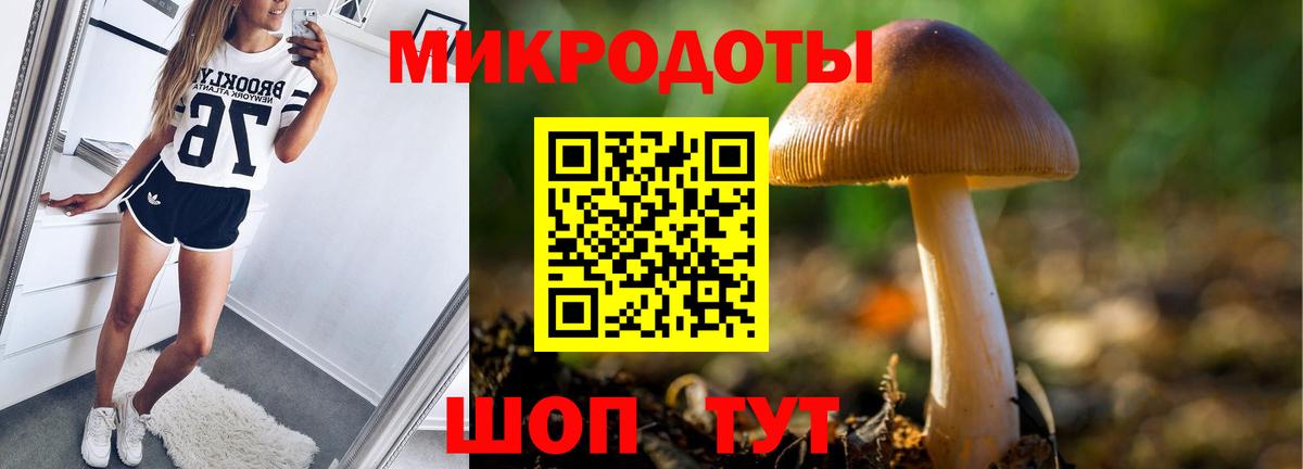Сухой Лог  Псилоцибиновые грибы прущие грибы  Вход с VPN  Галлюциногенные грибы прущие грибы 
